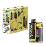 Disposable vapesBox of 5 Vozol Vista Plug 10K 10000 Vapebox vozol vista plug k vape wholesale